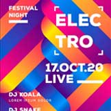 Electro Festival Night